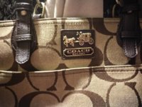 Coach 14133 e.jpg