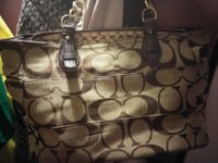 coach 14133 g.jpg