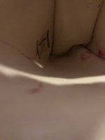 IMG_2204.jpg