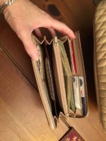 Lagerfeld and Longchamp - 3.jpg