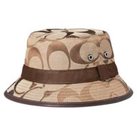 hat.jpg