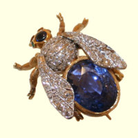 BRO-3SDE-251 G bg c thumb.jpg