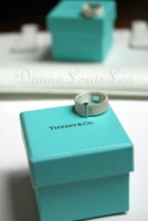 Tiffany Somerset 1.JPG