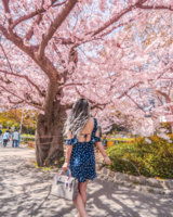 0E021BA2-214F-4EC2-9B1D-B645F5B02983.jpeg