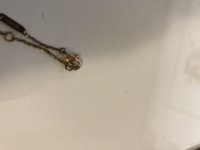 IMG_1656.jpeg