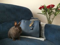 Easter_2018_DkDenimRougeBag_007.jpg Easter_2018_DkDenimRougeBag_007.jpg