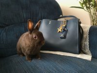 Easter_2018_DkDenimRougeBag_006.jpg