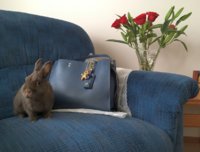 Easter_2018_DkDenimRougeBag_004.jpg