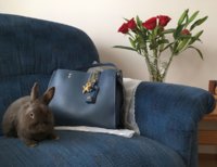 Easter_2018_DkDenimRougeBag_003.jpg Easter_2018_DkDenimRougeBag_003.jpg
