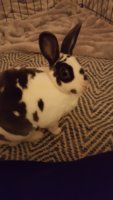 20171225_220331.jpg