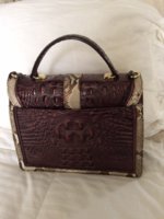 Brahmin Fig - Back.JPG