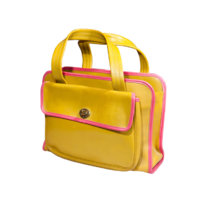 safari tote x_IMG_5172.jpg