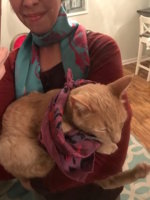 finnscarf1.jpg