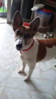 20161127_152338.jpg