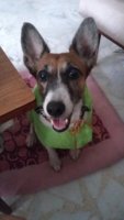 20160403_161128.jpg