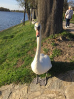 IMG_4259.jpg IMG_4259.jpg