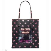 SB tote.jpg
