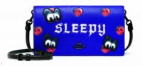 sleepy crossbody clutch.jpg