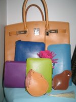 my colors 42908.jpg