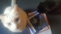 received_2039729262981331.jpeg