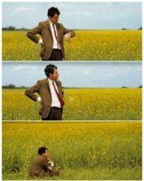 mrbean.jpg