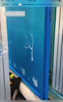 2E61E227-E1AA-4F7D-A3AD-A8D973214B8D.png