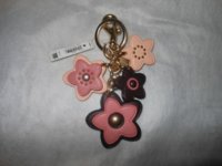 DSCN1590.jpg