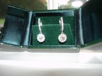 032 earrings 2a.jpg