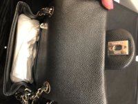 IMG_3772.jpeg