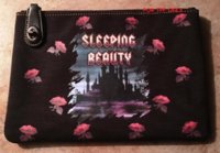Coach Sleeping Beauty Pouch 26.jpg