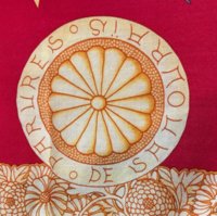 H243071S-07 Rose Indien Vert Corail  (9).jpg
