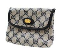 gucci mini cosmetic pouch.JPG