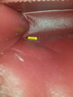 20180514_213515.jpg