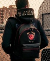 applebackpack.jpg