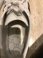 IMG_2693.jpeg