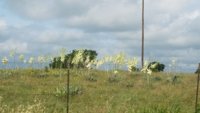 Yucca hill.jpg