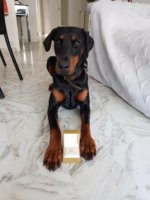 20180522_195439.jpg