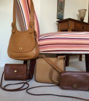 Browns and Tans.JPG