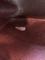 IMG_8824.jpeg