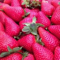 saturday-means-strawberries-at-the-market-fragole-italy-nofilterjustnature-may-04-2013-at-0957am.jpg