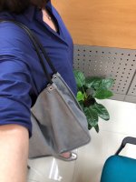 IMG_1527495473.673504.jpg