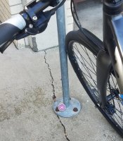 bike & flower rock.jpg
