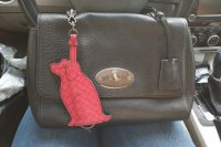 IMG_20180602_1817082.jpg