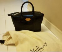 mulberry3.JPG