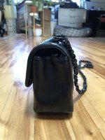 IMG_2800.jpeg