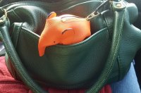 dp mr fnz, forest& loewe ele, orange.jpg