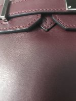 IMG_4630.jpg