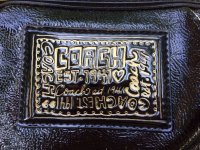 Coach5007079b.jpg