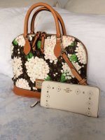 DB Hydrangea Zip Zip w: Coach wallet.JPG