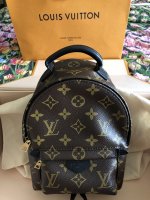 LV Palm Springs Mini : Should i be concerned about the front pocket  puffiness and material above pocket? : r/Louisvuitton